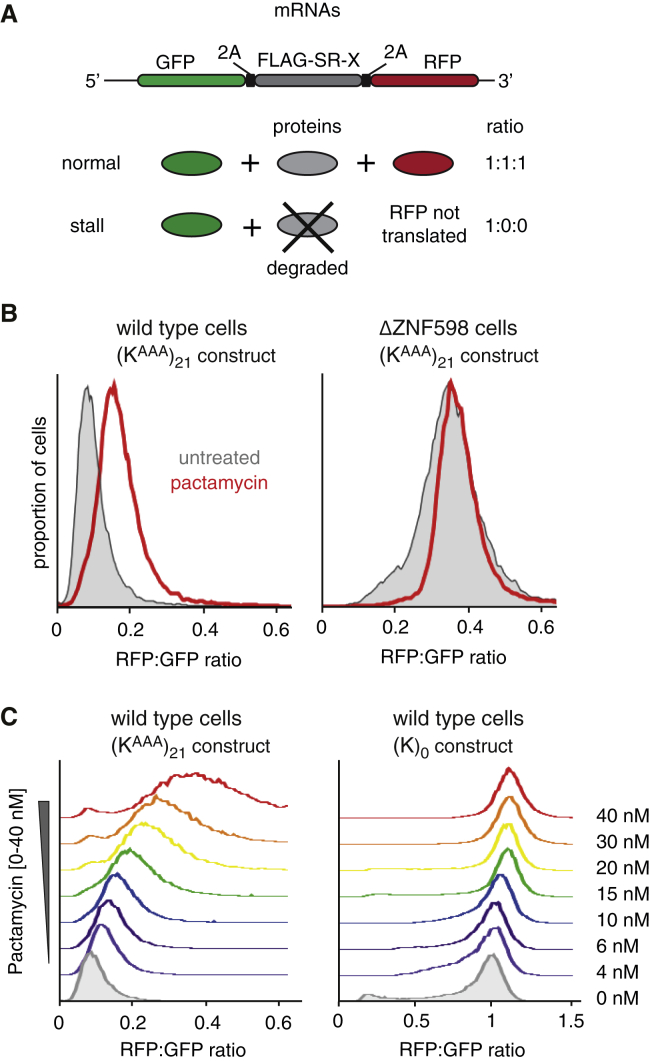 Figure 6