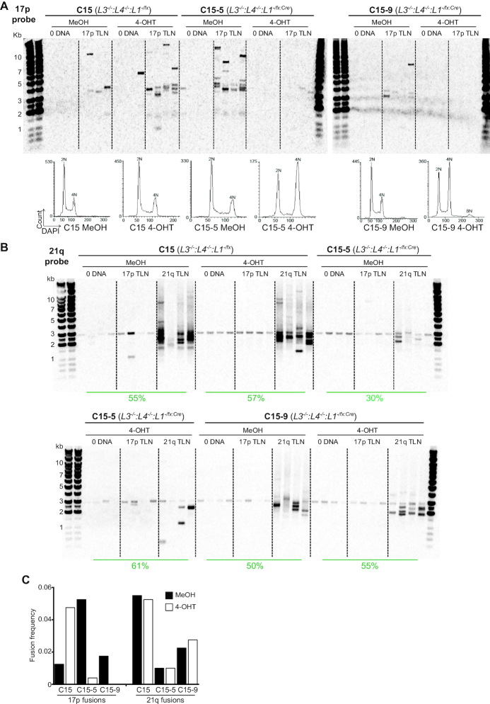 Figure 5.