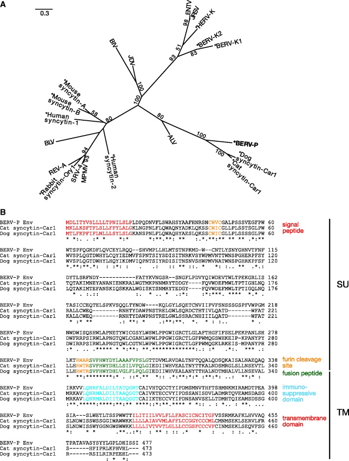 Fig. 4.—