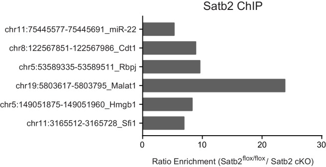 Figure 5—figure supplement 4.