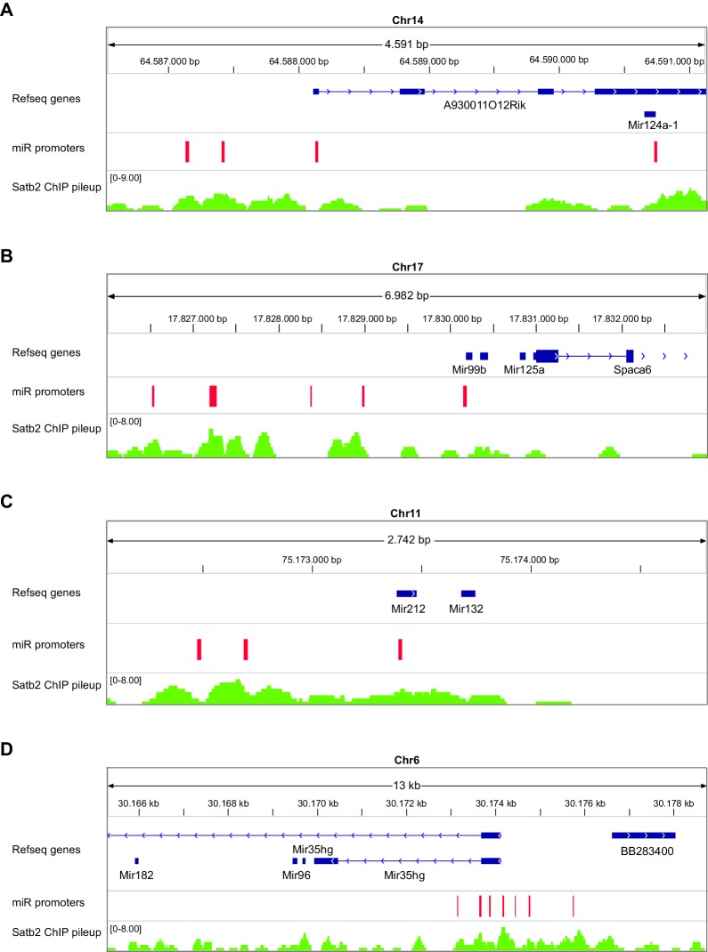 Figure 6—figure supplement 3.