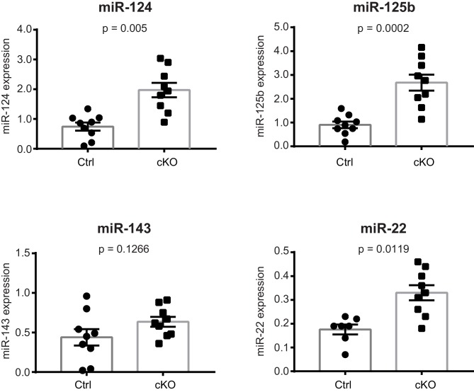 Figure 6—figure supplement 2.