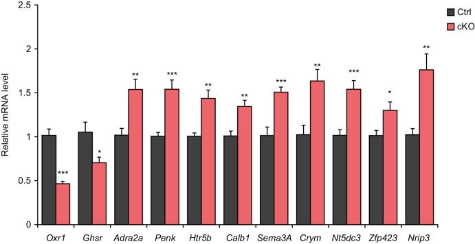 Figure 6—figure supplement 1.