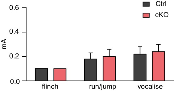 Figure 2—figure supplement 1.