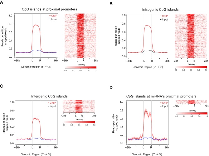 Figure 5—figure supplement 3.