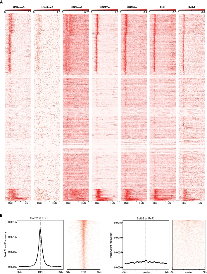 Figure 5—figure supplement 2.