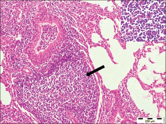 Figure-3