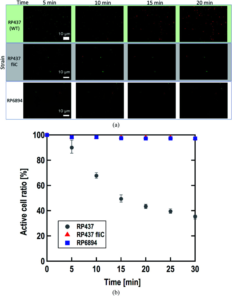 Fig. 4