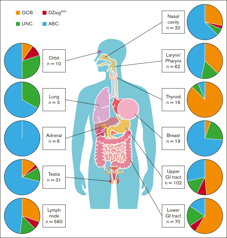 Figure 2.