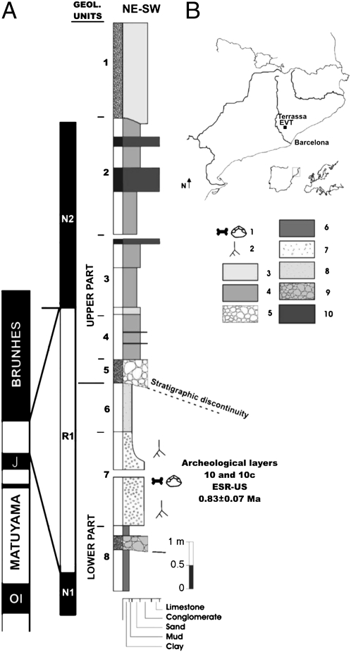 Fig. 1.