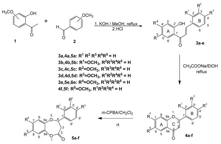 Scheme 1