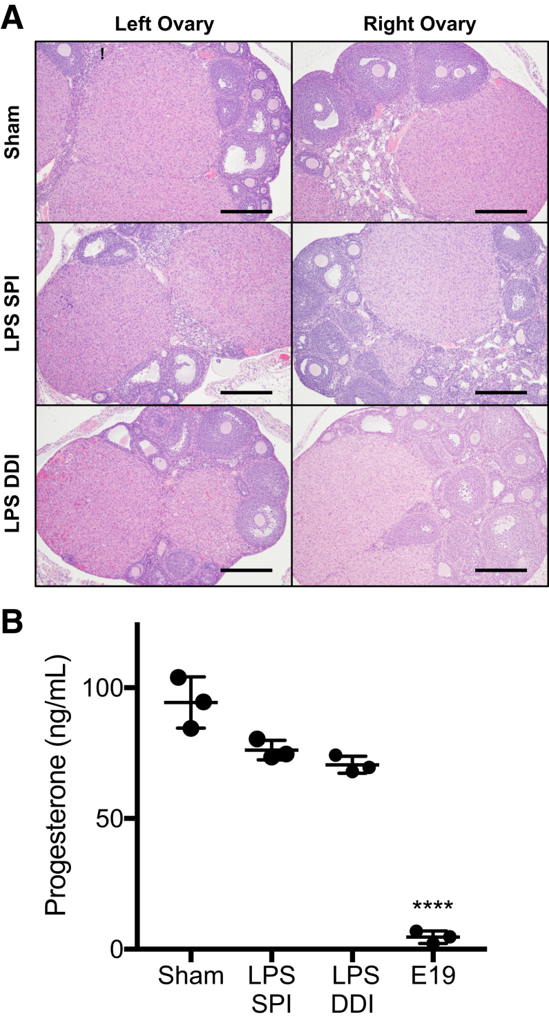 Figure 5