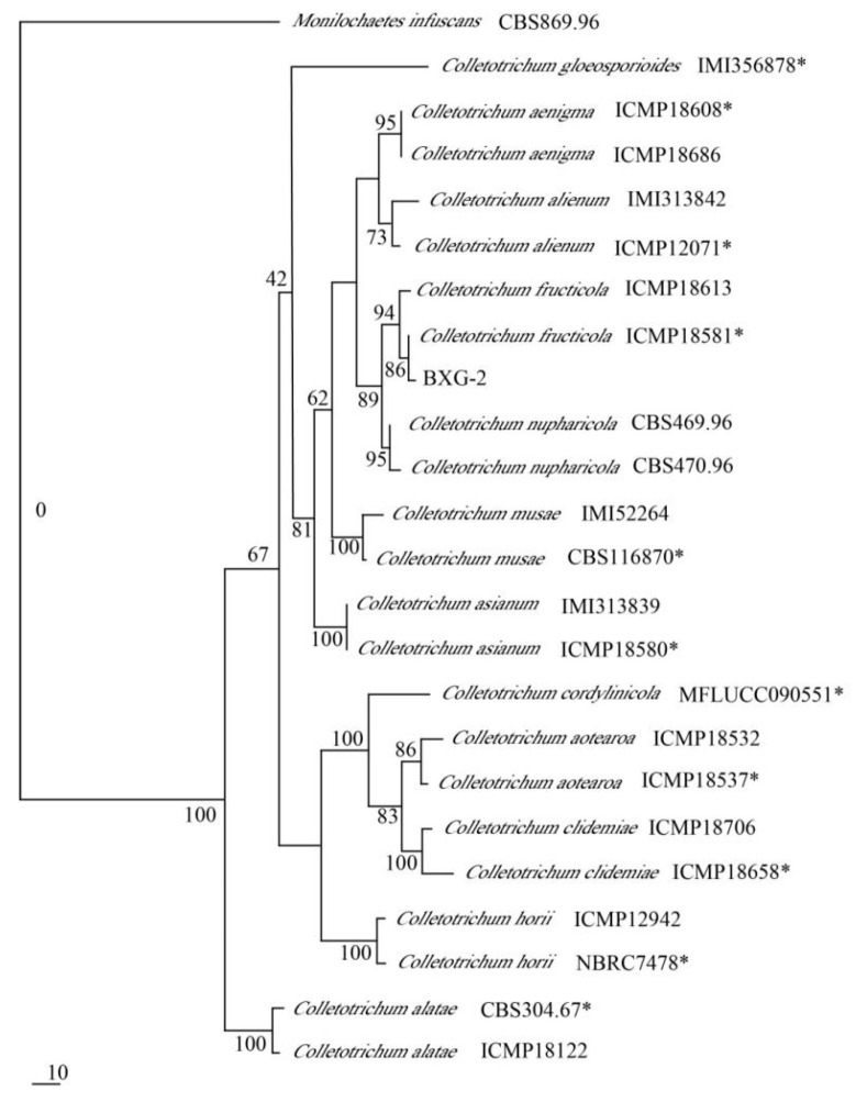 Figure 4