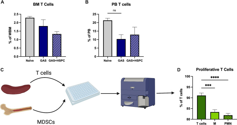 Figure 6—figure supplement 1.