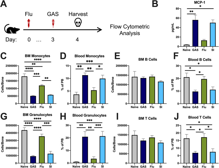 Figure 2—figure supplement 1.