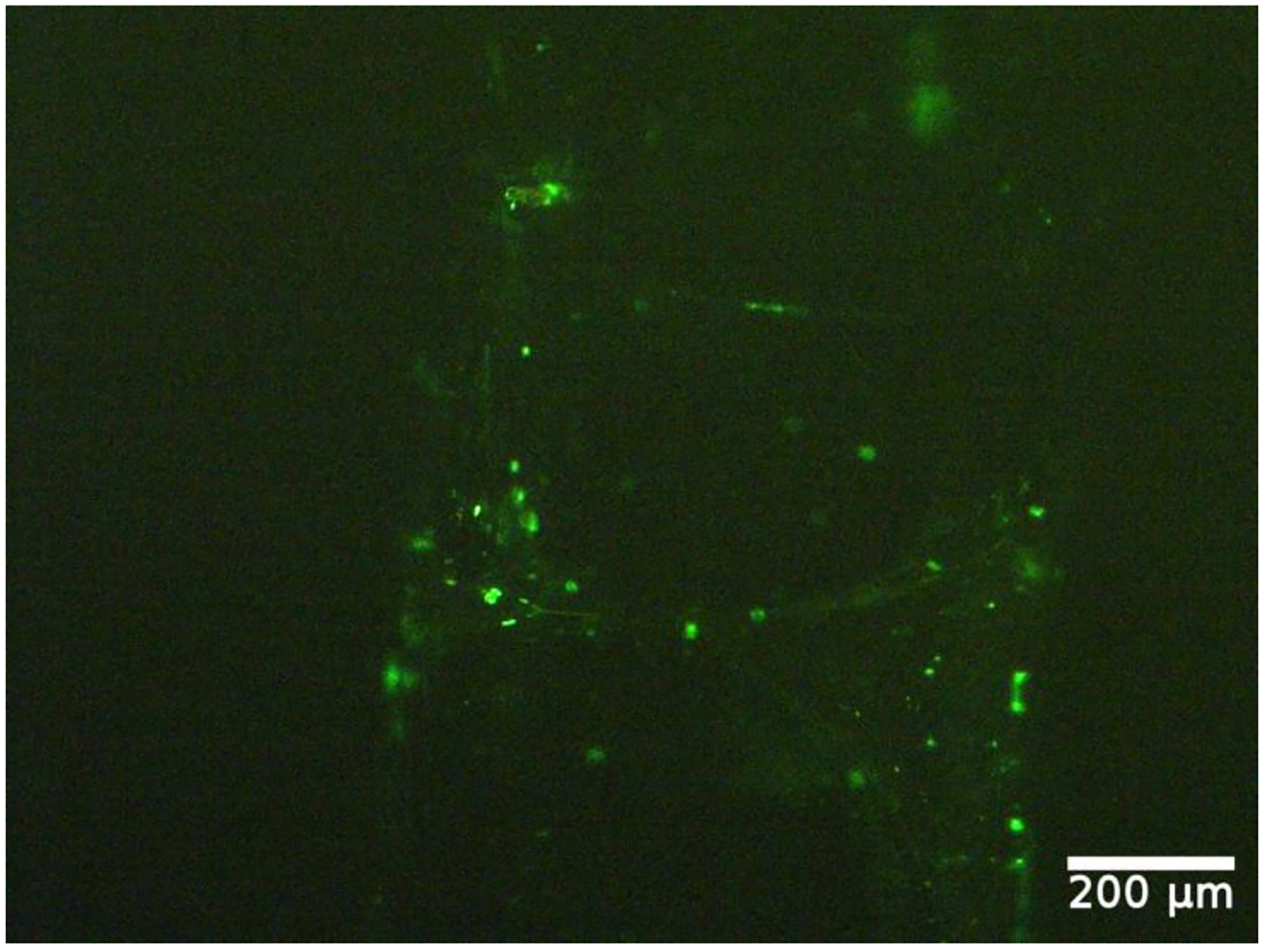 Figure 11.