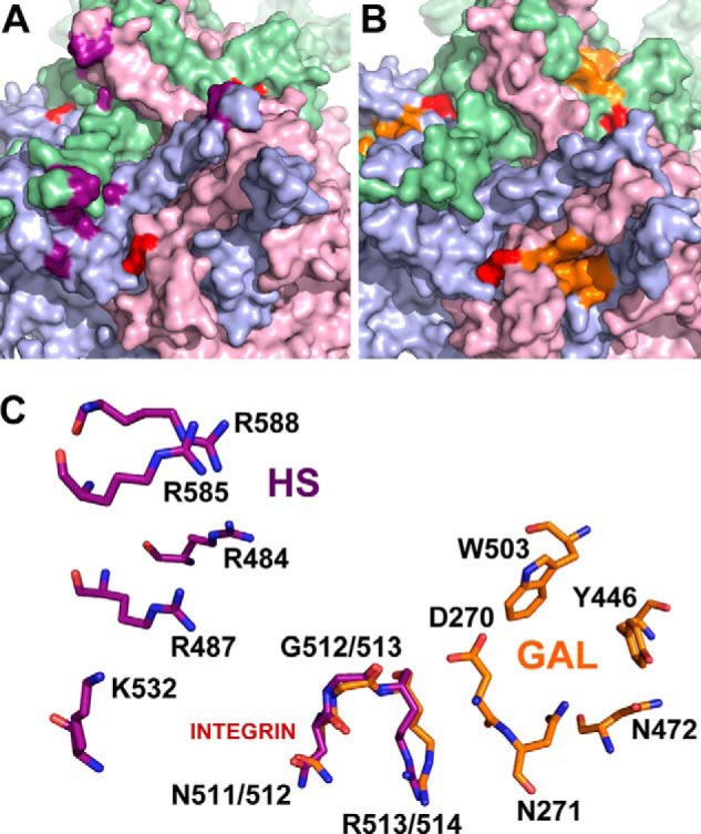 FIGURE 6.