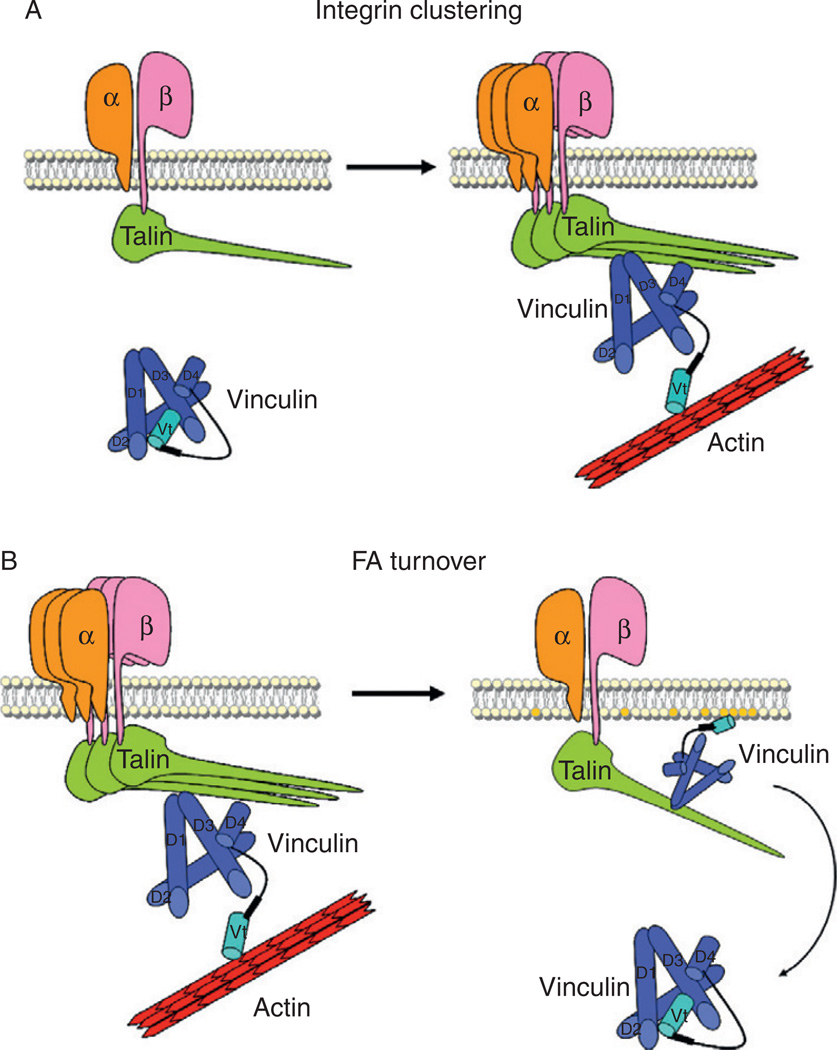 Figure 5.3