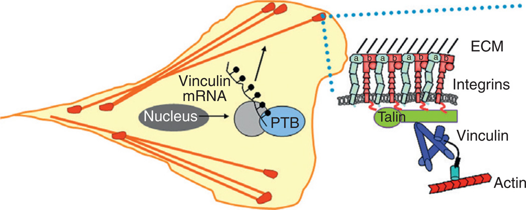 Figure 5.4