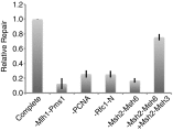 Fig. 6.