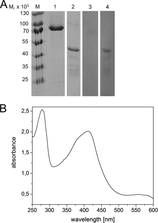 Figure 10.