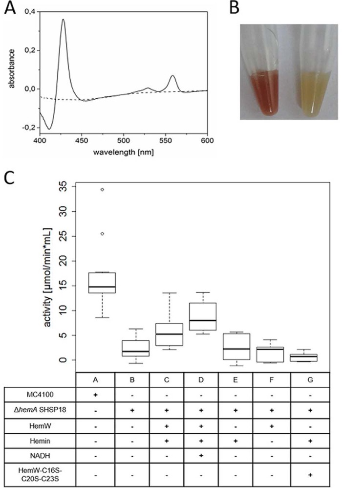 Figure 9.