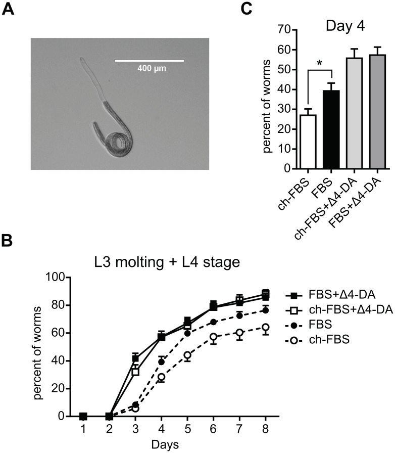 Fig 6