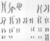 329