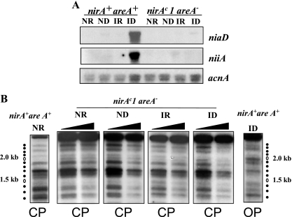 FIG. 5.