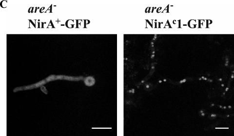 FIG. 5.