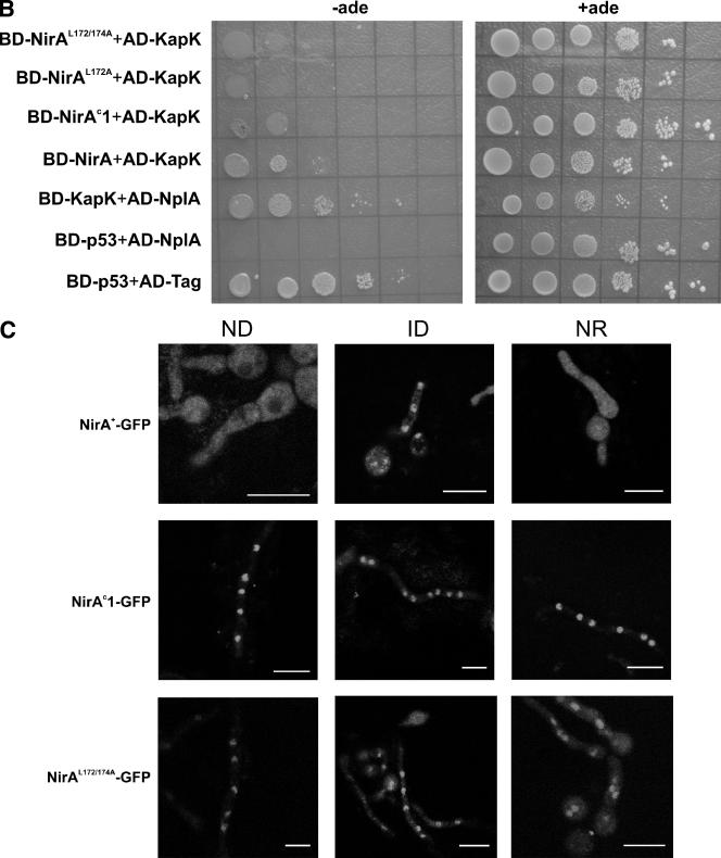 FIG. 6.