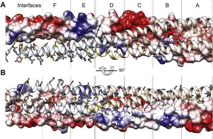 Figure 5—figure supplement 1.