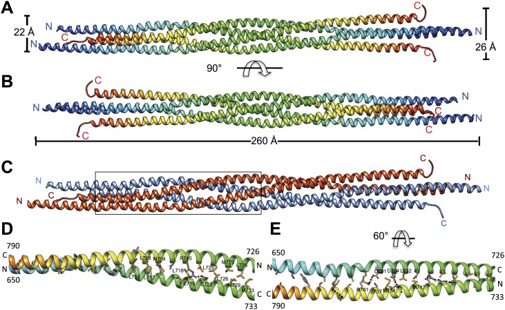 Figure 2.