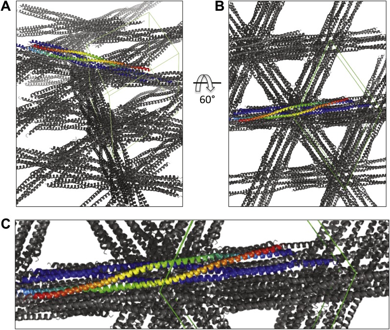 Figure 1—figure supplement 1.