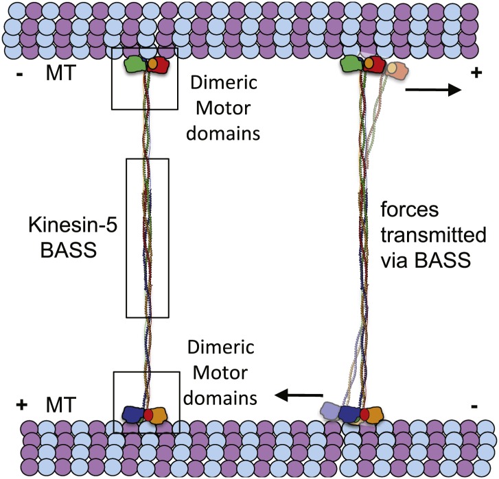 Figure 10.