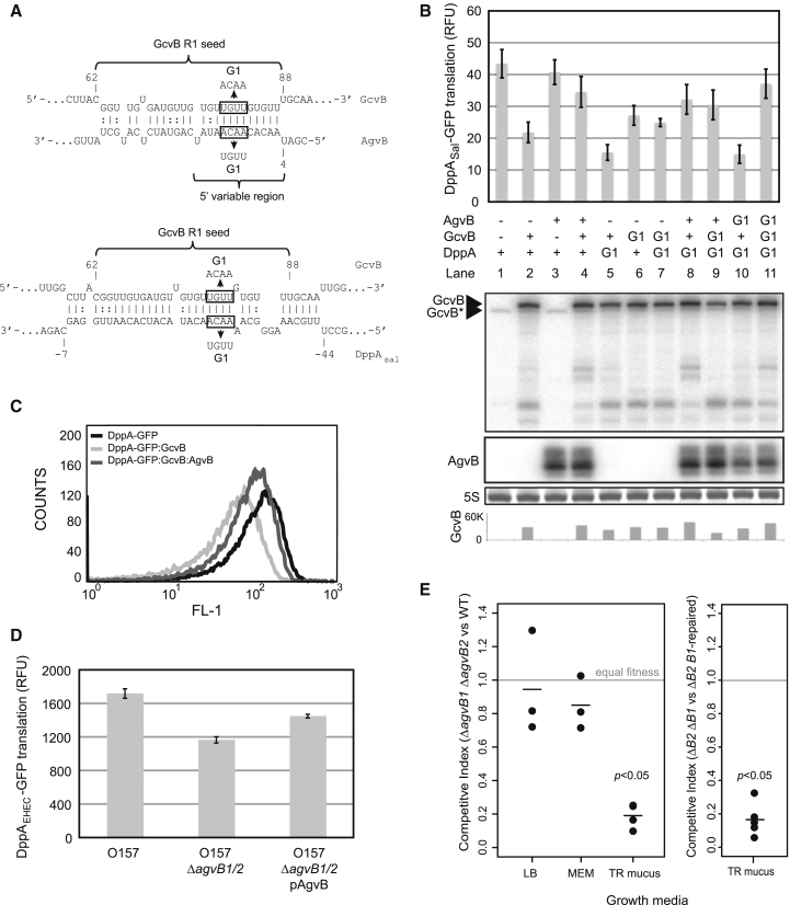 Figure 6