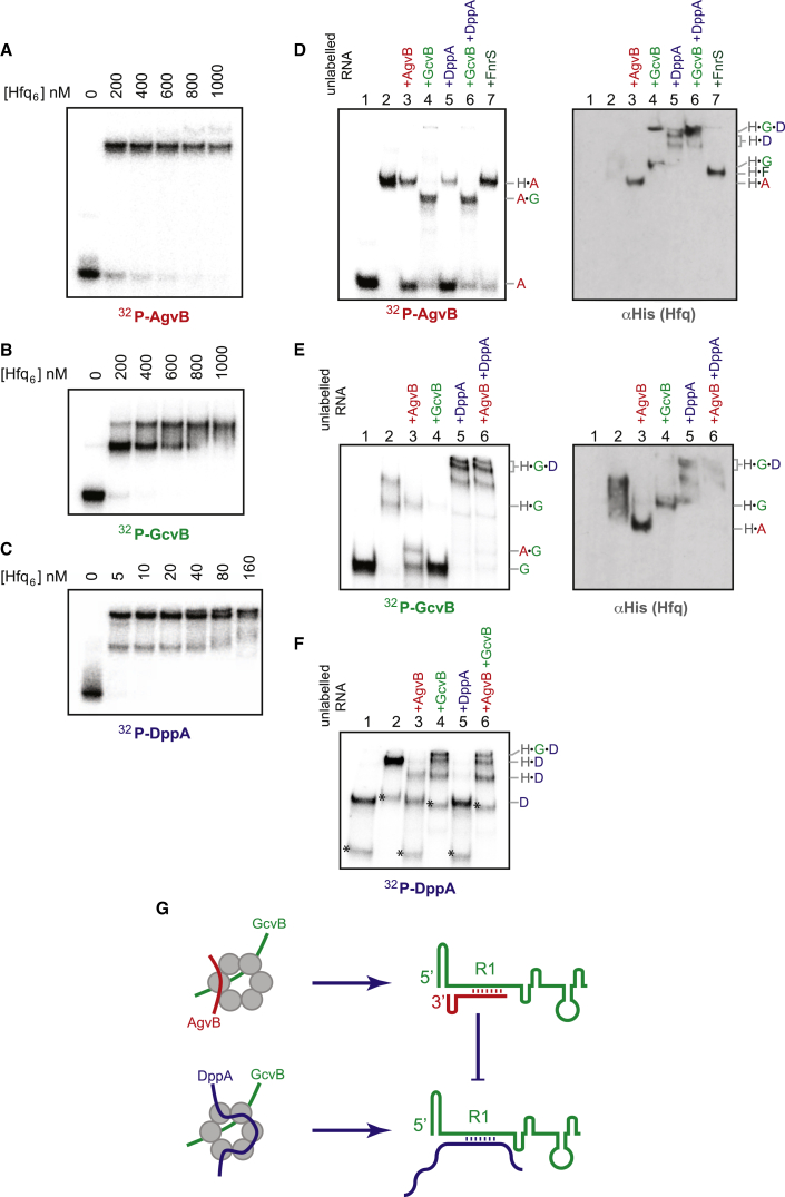 Figure 7