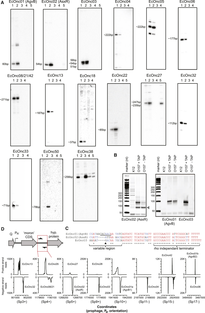 Figure 4