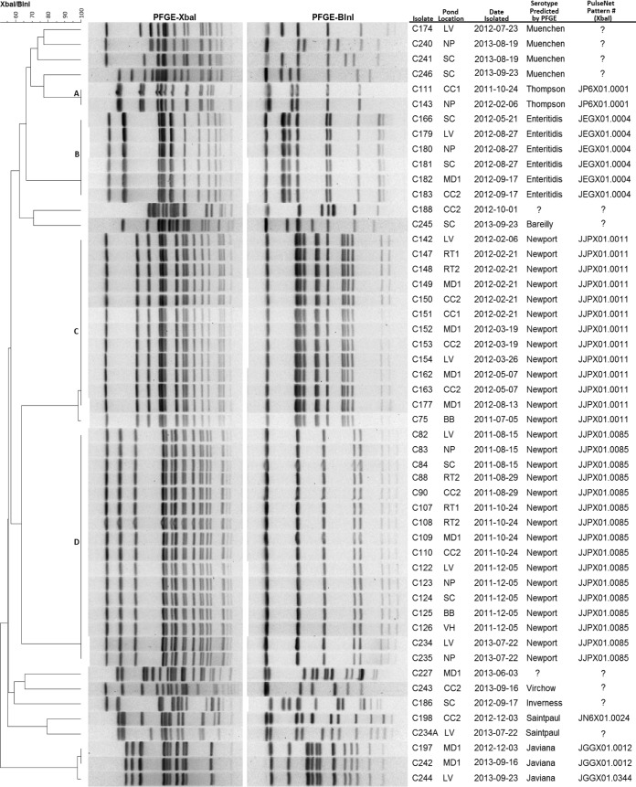 FIG 3