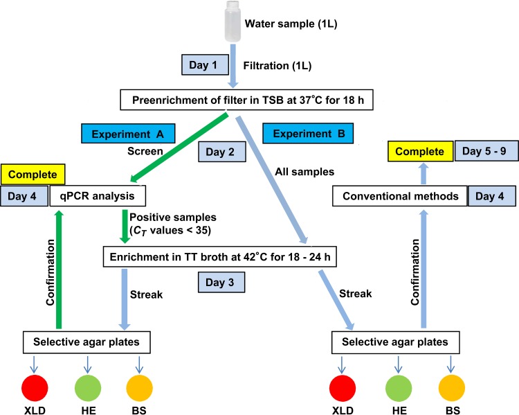 FIG 2