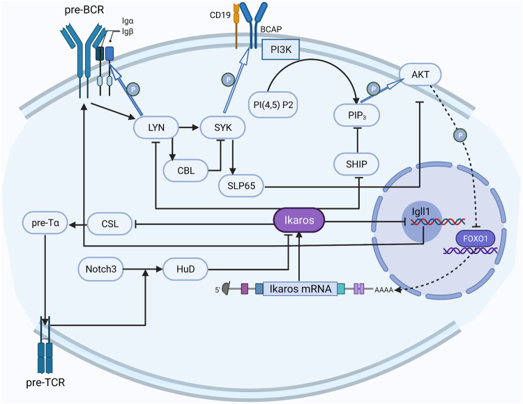 FIGURE 2