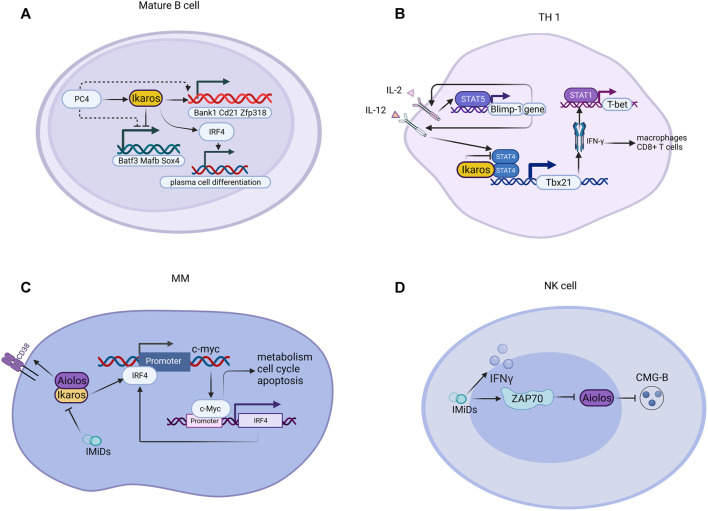 FIGURE 3