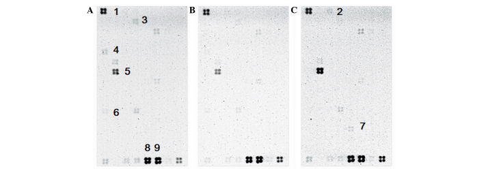 Figure 6.