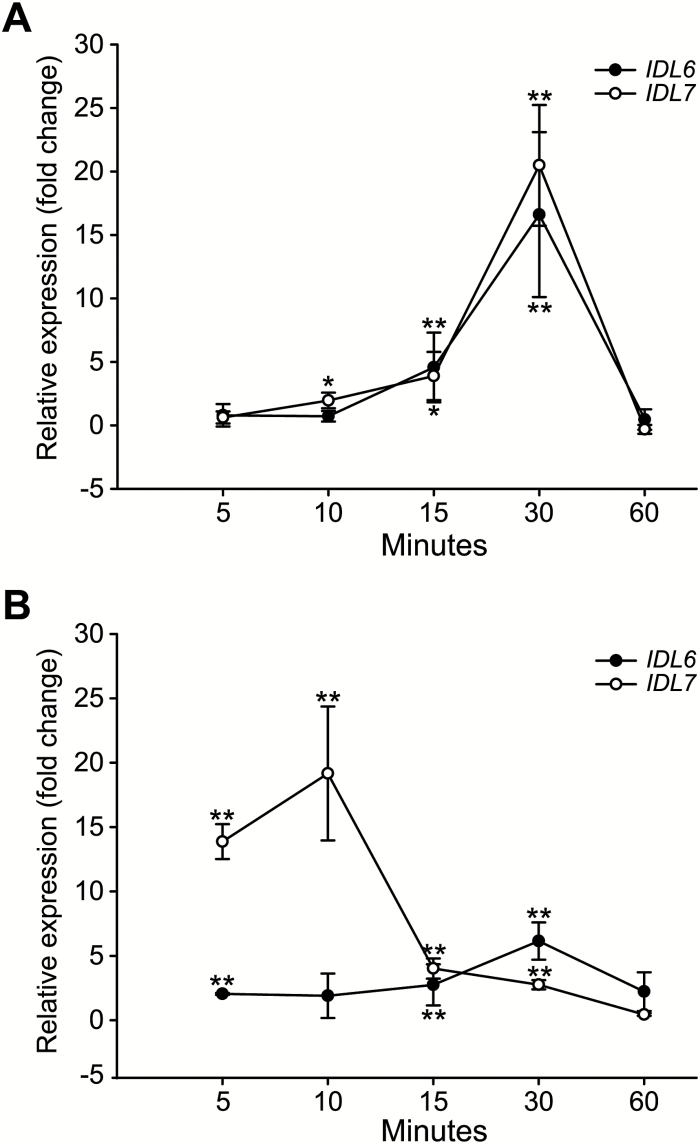 Fig. 6.