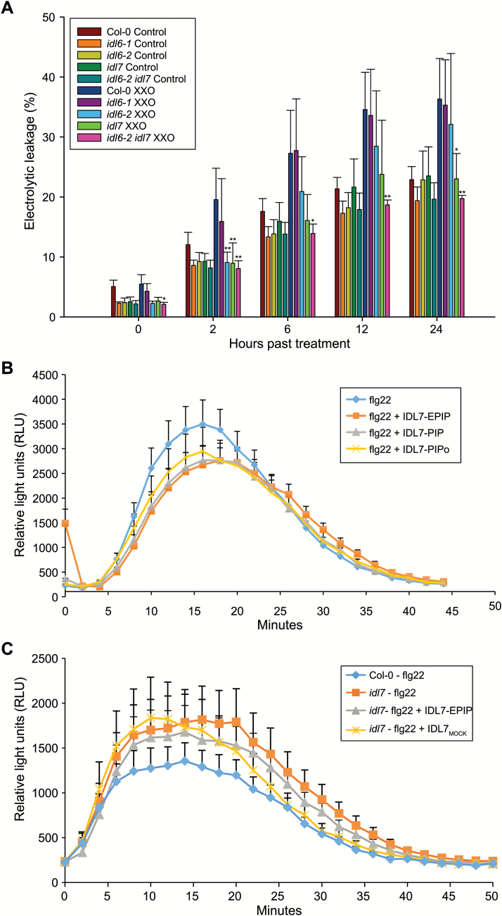 Fig. 7.