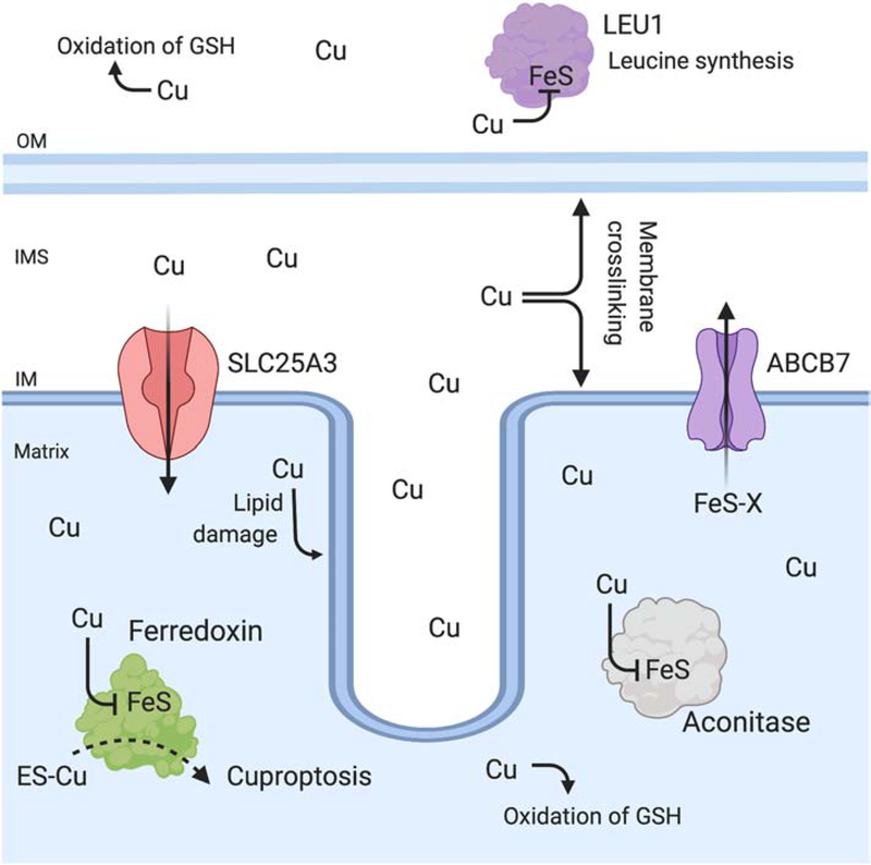 Figure 3: