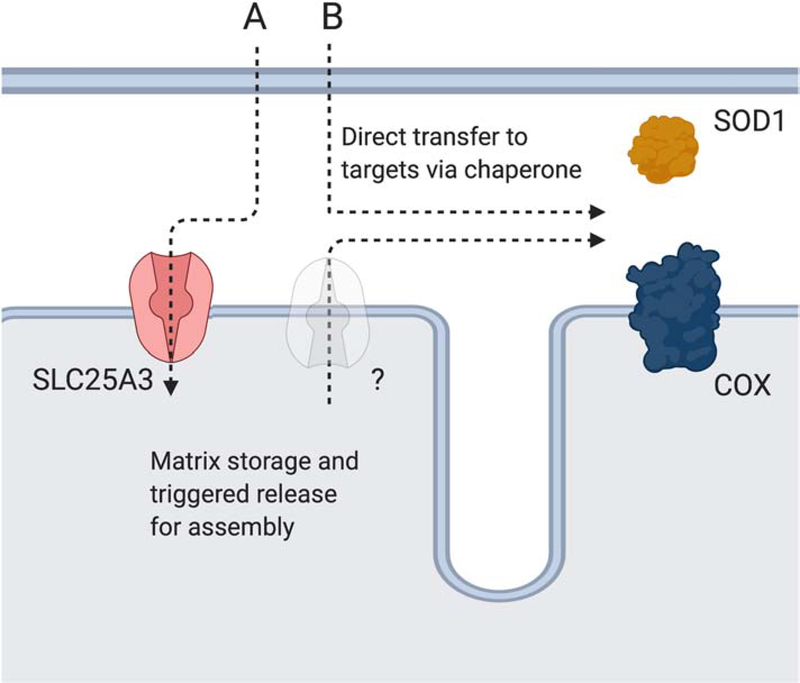 Figure 5: