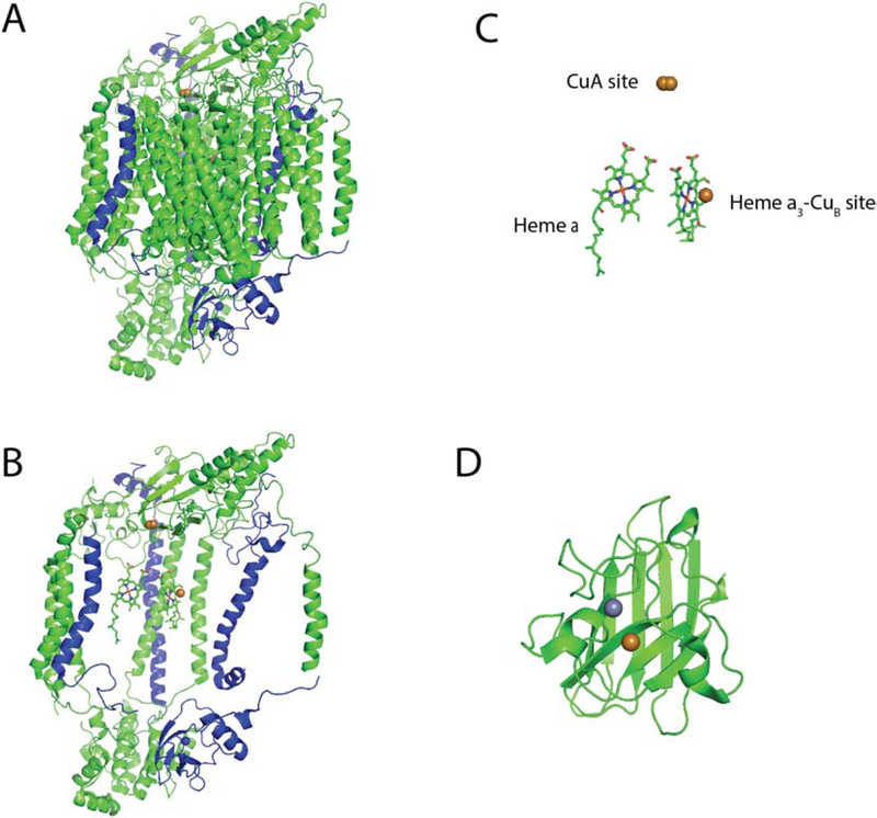 Figure 4: