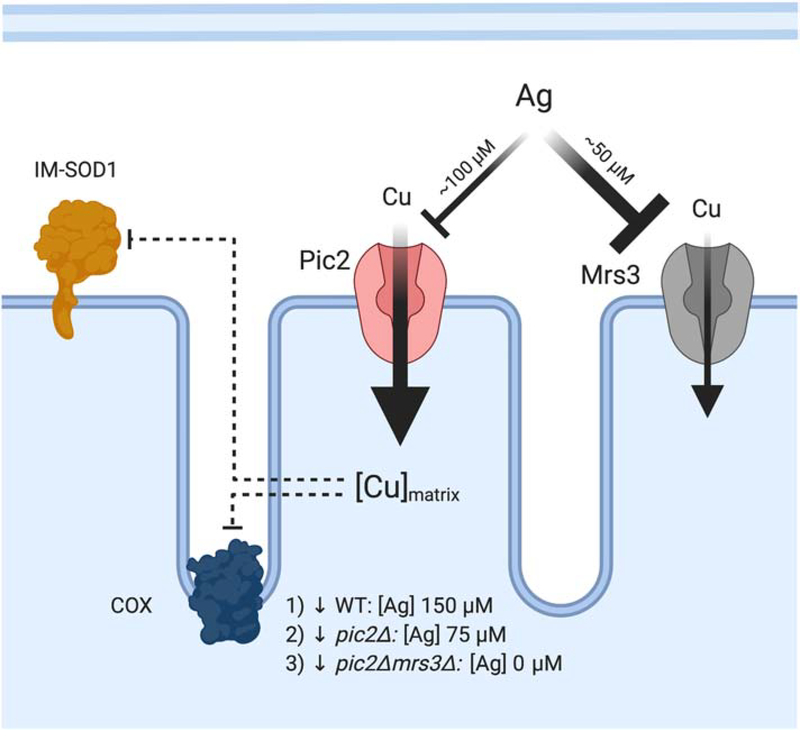 Figure 7: