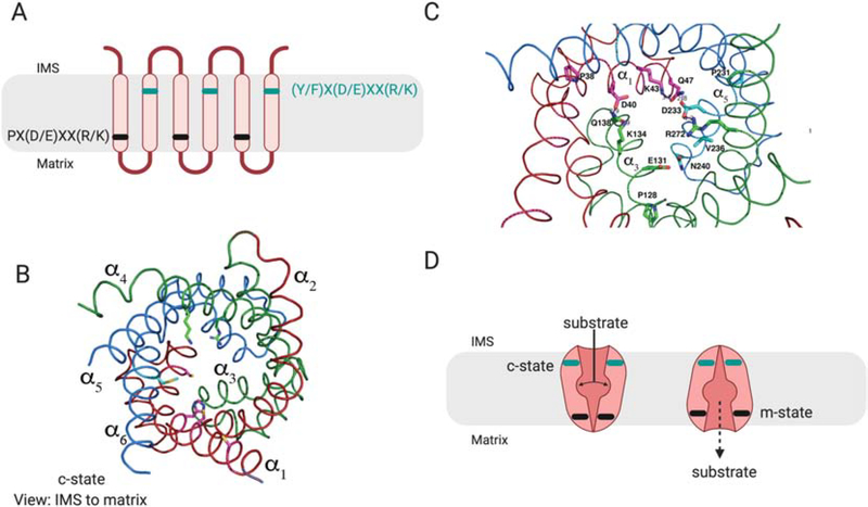 Figure 6: